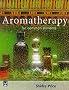 Aromatherapy for Common Ailments (Common Ailments Series)