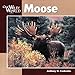 Moose (Our Wild World)