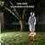 All the Money in the World