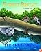 Forest  Bright,  Forest Night (Sharing Nature With Children Book)