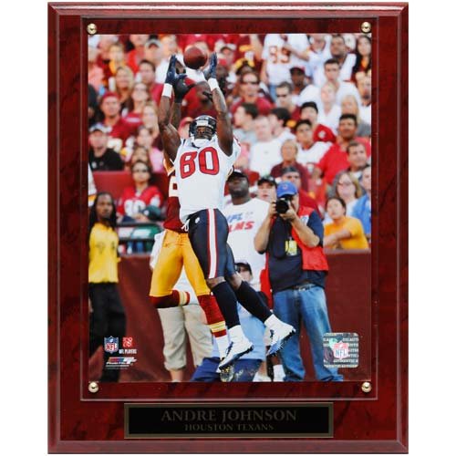 Houston Texans #80 Andre Johnson 10.5'' x 13'' Leaping Catch Player Plaque