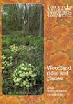 Woodland Rides and Glades: Their Mana...