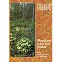 Woodland Rides and Glades: Their Management for Wildlife