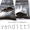  Se L`amore È Amore