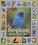 Audubon 365 Songbirds and Other Backyard Birds Calendar 2003