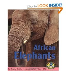 African Elephants (Early Bird Nature)