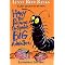 What to read after The Magic Tree House