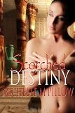 Scorched Destiny