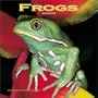 Frogs Mini Wall: 2003