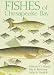 Book Fishes of Chesapeake Bay
