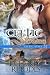 Books : Celtic Storms: Celtic Steel: Book One (Volume 1)