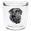 Black Lab 12 oz Double-Old-Fashioned Insulated Beverage Tumbler, Clear
