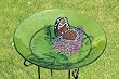 Evergreen 2GB025 Glass Bird Bath, Monarch Lilac, 18-Inches Diameter