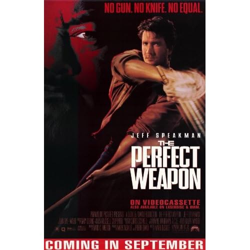 The Perfect Weapon Poster