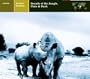 Explorer: Animals of Africa - Sounds of the Jungle, Plain & Bush