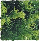 Zoo Med Naturalistic Bush Plant Malaysian Fern, Large