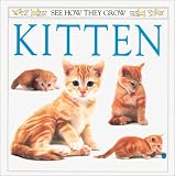 Books : Kitten (See How They Grow)