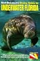 Ned Deloach's Diving Guide to Underwater Florida
