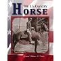 The U.S. Cavalry Horse