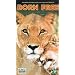 Born Free [VHS] [1966]