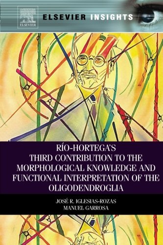 Rio-Hortega's Third Contribution to the Morphological Knowledge and Functional Interpretation of the Oligodendroglia