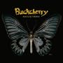 Black Butterfly