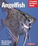 Angelfish (Complete Pet Owner's Manual)