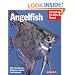 Angelfish (Barron's Complete Pet Owner's Manuals)
