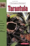 The Guide to Owning a Tarantula (Guide to Owning)