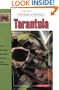 The Guide to Owning a Tarantula