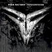 Transgression