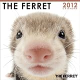 THE FERRET（魚眼ミニ） [2012年 カレンダー] 画像
