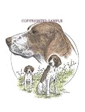 German Shorthair - Trio Image by Cindy Farmer
