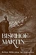 Bischof Martin: Die Entwicklung einer Seele im Jenseits