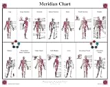cover of Meridian Chart