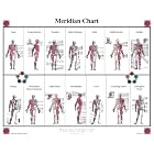 Click here to buy Meridian Chart by Flash Anatomy.