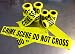 Crime Scene Tape