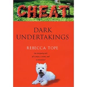 Dark spots and pores on face ( skin.