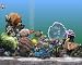 Marine Aquarium 2.5 Virtual Undersea Paradise Win/Mac