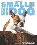 Small Dog, Big Dog