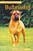 Bullmastiff (Pet Owner's Guide)