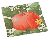 Caspari Pumpkin Patch 2 Paper Lunch Napkin Package, Ivory