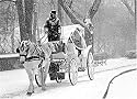 Coach in Snow Christmas Cards