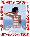 シリコンカッピングカップ (吸い玉) 10個入り (8個のMサイズ+2個のSサイズ) ピンク