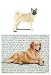 Akita Glass Cutting Board