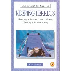 Keeping Ferrets (Owning the Perfect Small Pet)