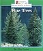 Pine Trees (Rookie Read-About Science)
