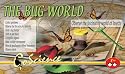 The Bug World Lab Kit
