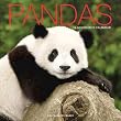 Pandas 2010 Wall Calendar