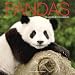 Pandas 2010 Wall Calendar